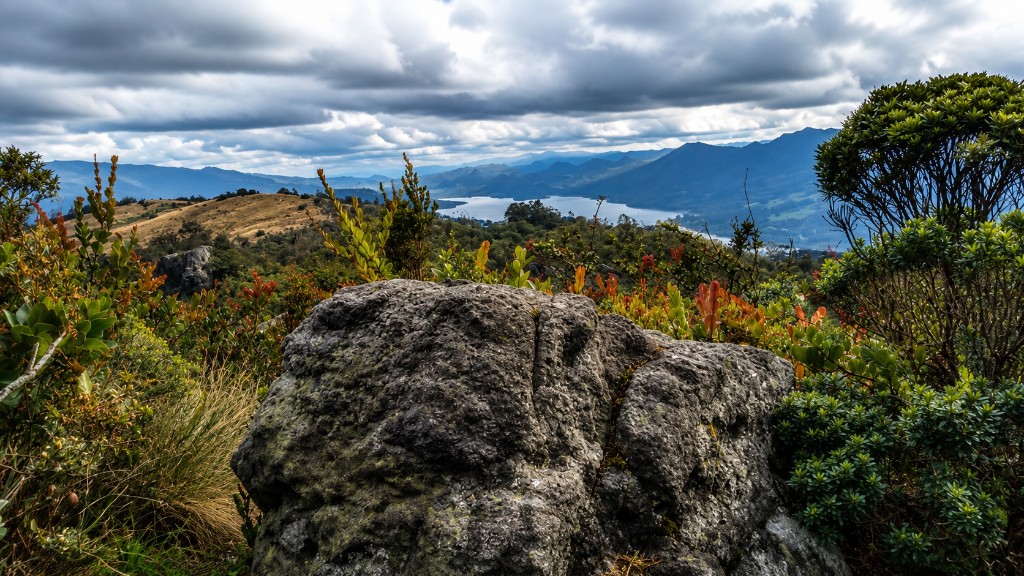 Paisaje del Páramo Guerrero: roca, vegetación de alta montaña, laguna y cordillera nublada